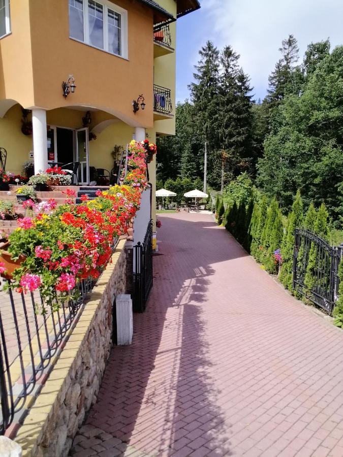 Pasja Acomodação com café da manhã Świeradów-Zdrój Exterior foto
